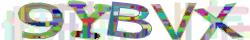 Retype the CAPTCHA code from the image